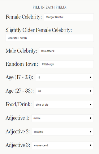 Mad Libs profile (Screenshot: nymag.com)